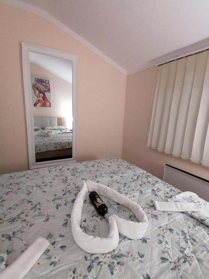 Apartman Dionis Sm 斯雷姆斯卡米特罗维察 外观 照片