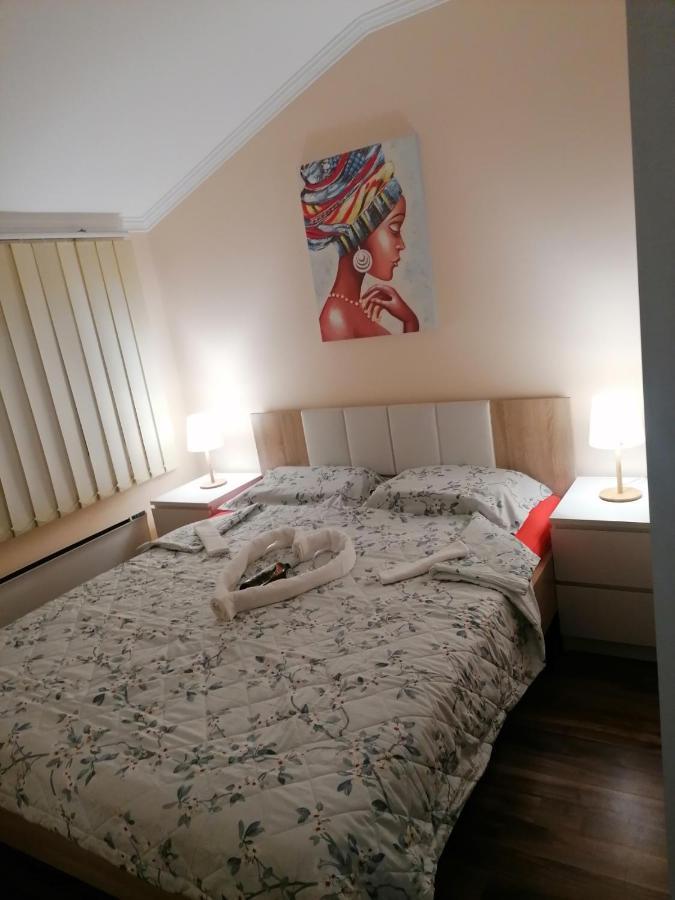 Apartman Dionis Sm 斯雷姆斯卡米特罗维察 外观 照片
